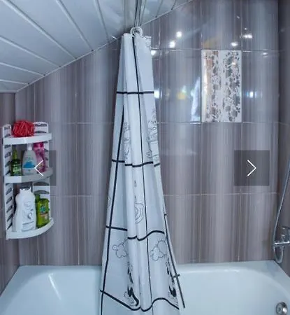 Pid Lisochkom 펜션 베르코비나