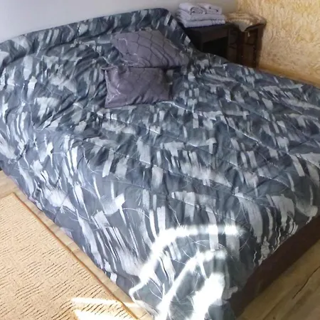 펜션 Pid Lisochkom *