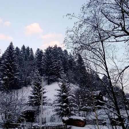 펜션 Pid Lisochkom 베르코비나