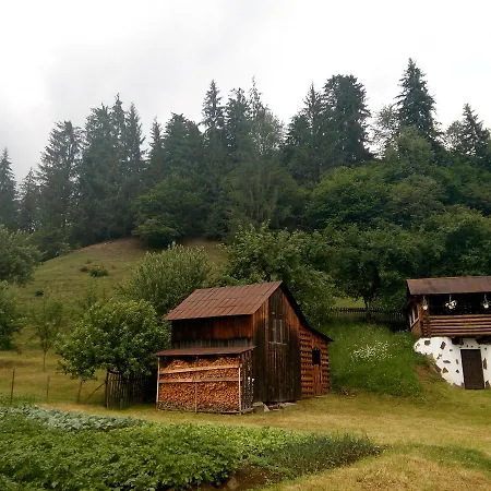 Pid Lisochkom 펜션 베르코비나