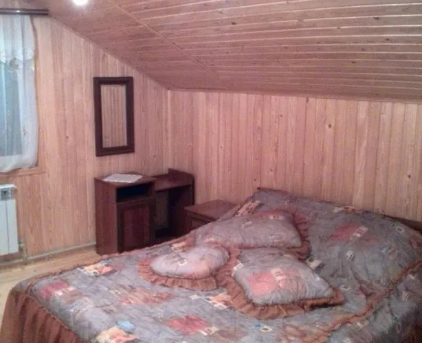 Pid Lisochkom Ferienhaus Werchowyna